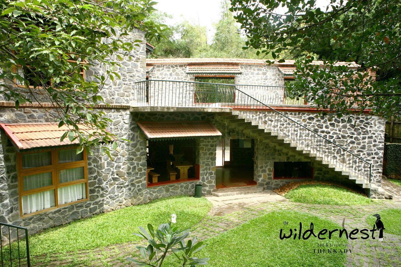 Wildernest 3*